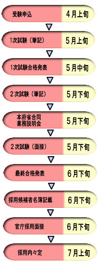 国家公務員総合職試験採用の流れ図